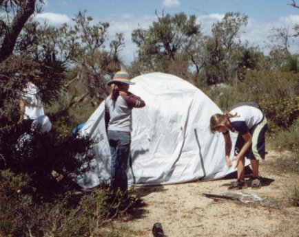 Putting up the tent