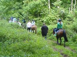 Youths galloping into the woods